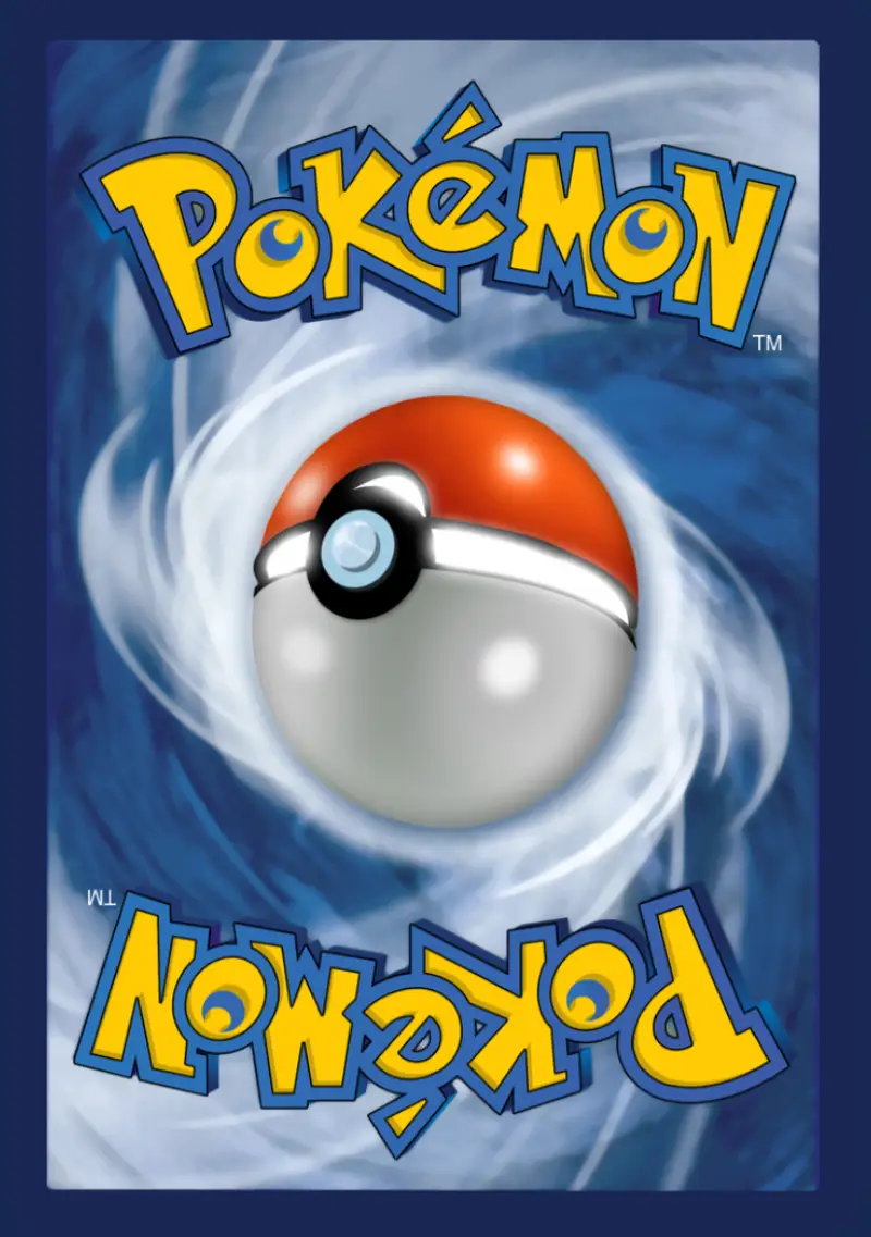 Back Custom Holographic Card