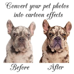 Custom Pet Photo Socks, Personalized Pet Socks, Custom Dog Socks, Mothers Day Gifts, Cat/Dog Dad Gifts, Dog Face Socks, Pet Lovers Gift - thumbnail 2